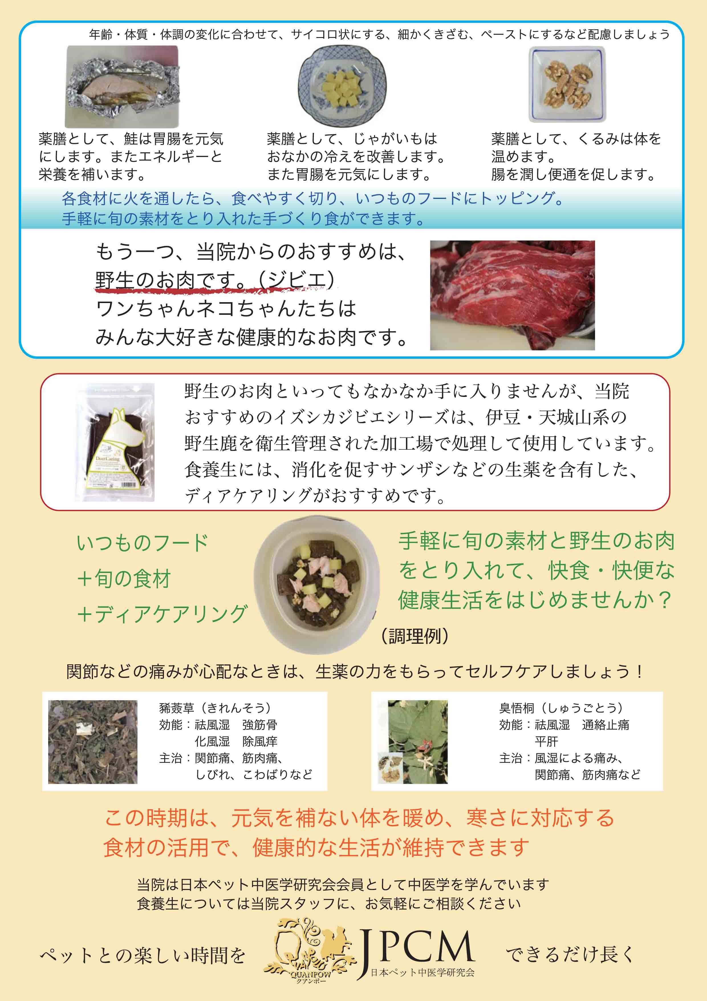 11月の中医学的養生法