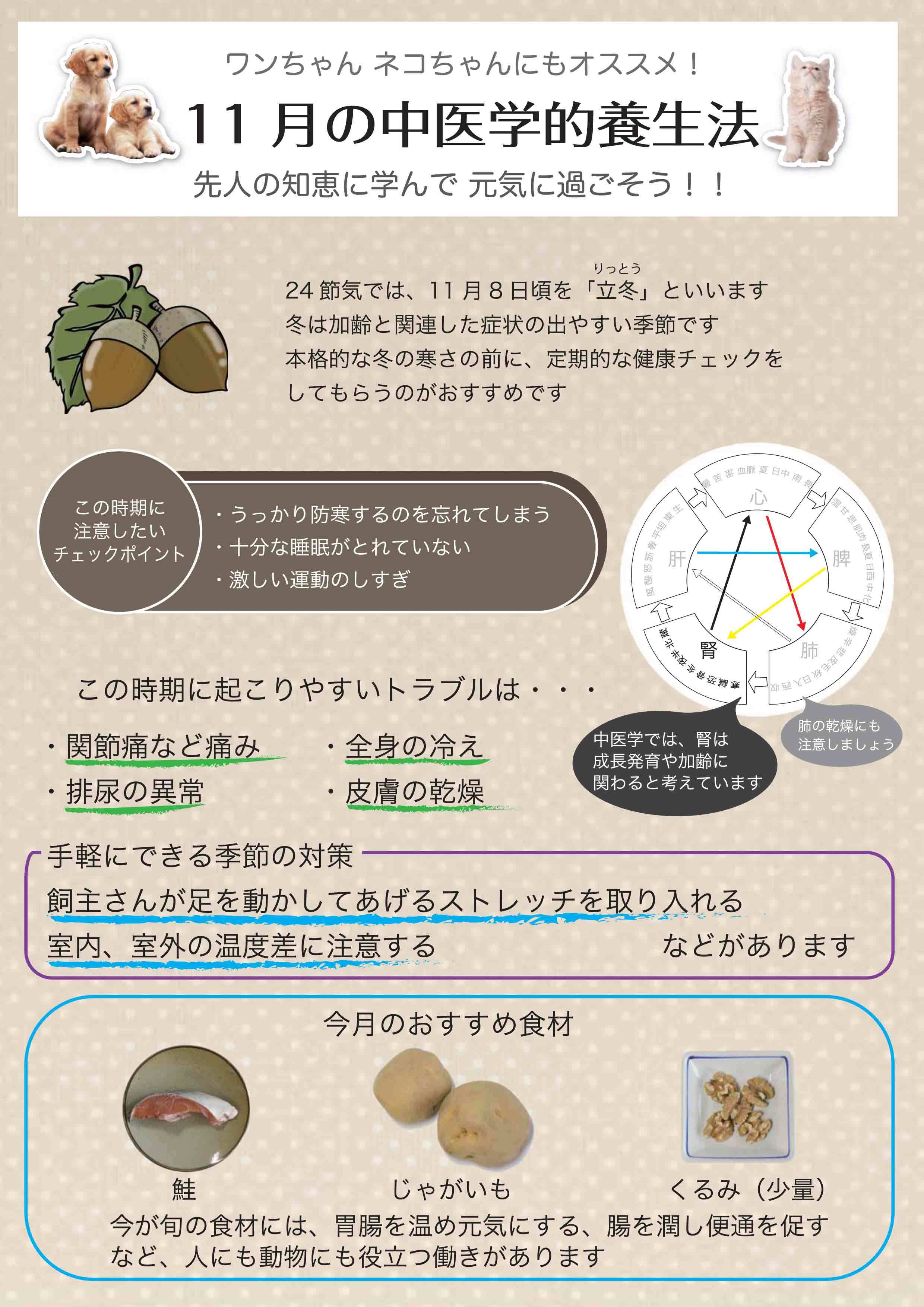 11月の中医学的養生法
